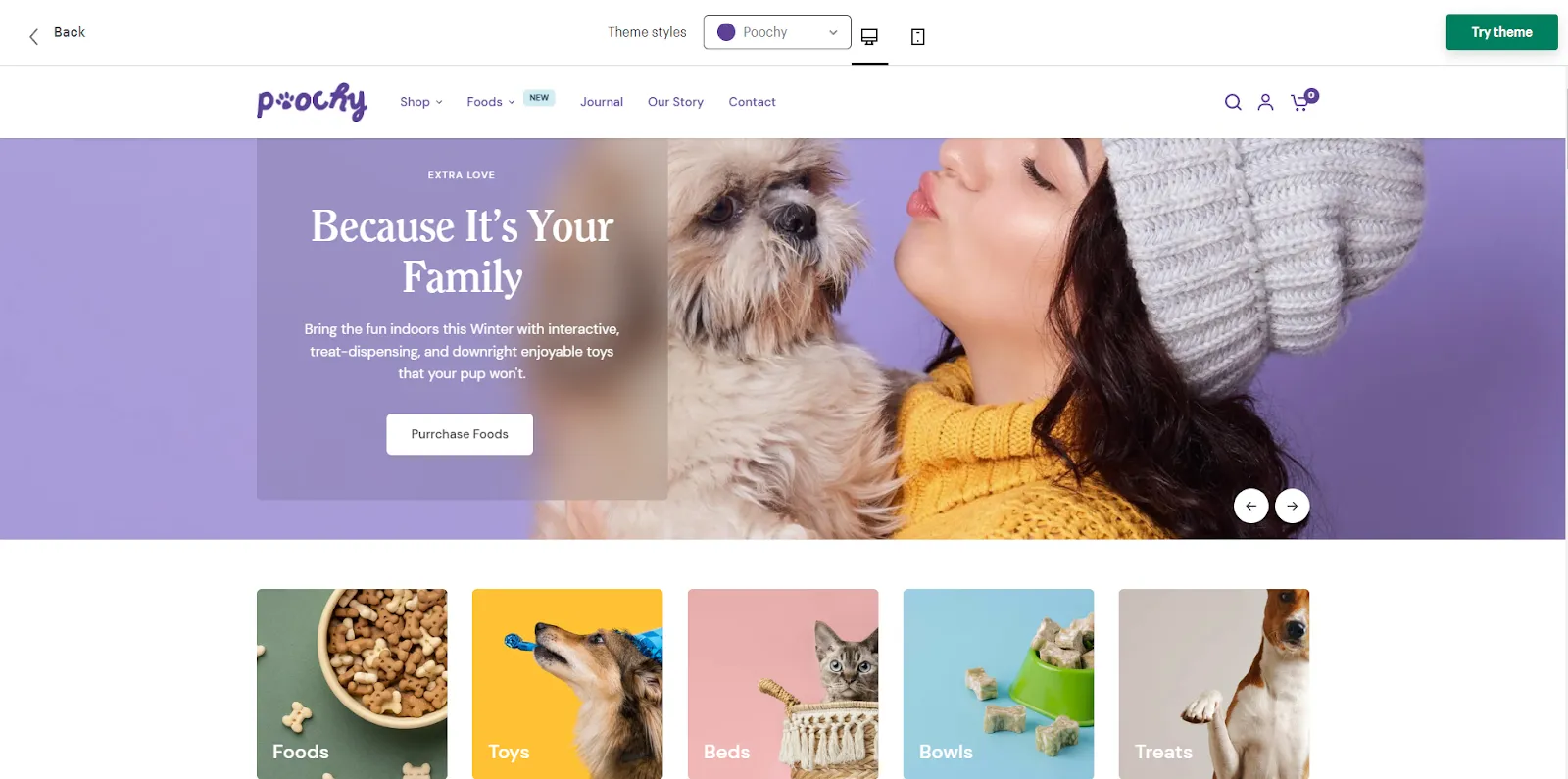 Vision shopify theme